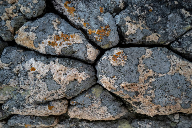 istock Texture, color and lichens on natural rock surfaces 1186478701