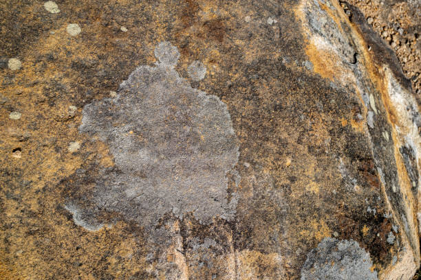 Texture, color and lichens on natural rock surfaces