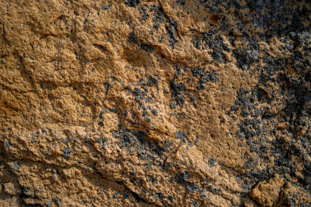 istock Texture, color and lichens on natural rock surfaces 1186481953