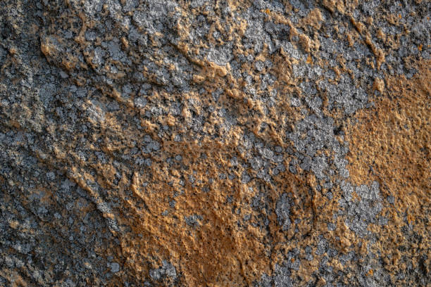 istock Texture, color and lichens on natural rock surfaces 1186481999