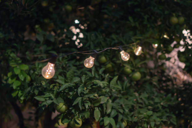 istock Outdoor string lights hanging on a line in backyard 1186484755