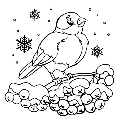 Funny bullfinche and rowan tree under the snowfall. Vector illustration on a white background. Outlined for coloring book.