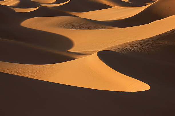 sand dunes in evening light stock photo