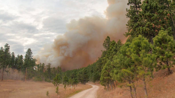 istock FPV: Driving on dirt road towards thick heavy smoke rising from forest fire 1186505802