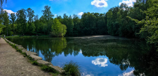 istock Calm lake in the forest on a bright summer day 1186505856