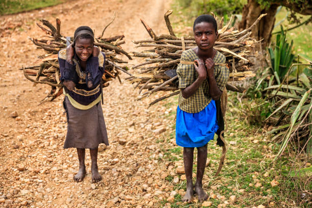 브러쉬우드를 들고 있는 어린 아프리카 소녀들, 케냐 남부, 동아프리카 - developing countries 이미지 뉴스 사진 이미지