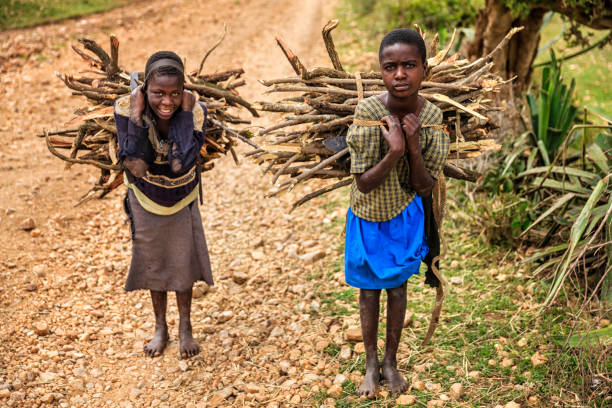 Young African girls carrying brushwood, southern Kenya, East Africa Young African girls carrying brushwood,  southern Kenya, East Africa child labor stock pictures, royalty-free photos & images