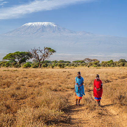Two African women  from Maasai tribe crossing savannah with offspring on their back, Mount Kilimanjaro on the background, central Kenya, Africa. Maasai tribe inhabiting southern Kenya and northern Tanzania, and they are related to the Samburu.