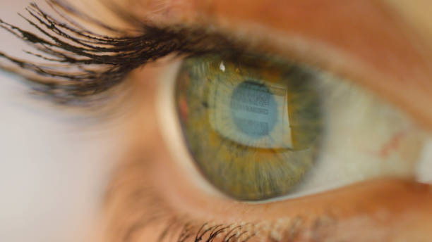 istock MACRO CLOSEUP Screen reflection on the  surface of an eye when reading document 1186510388