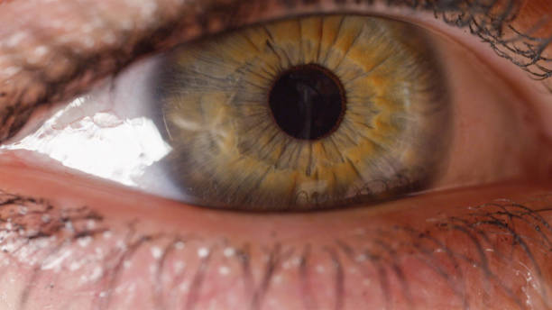 istock CLOSE UP: Vividly colored green eye frantically looking around room. 1186511503