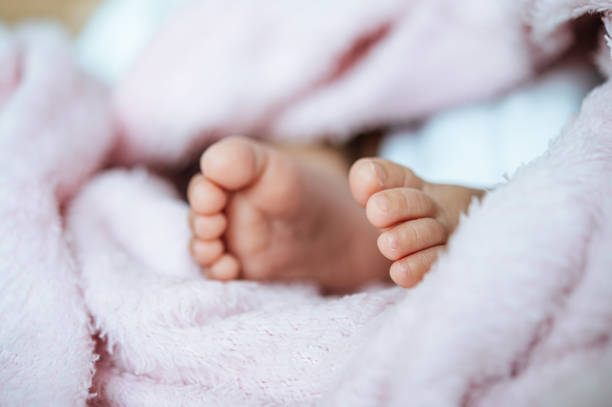 istock Newborn baby feet on a white blanket. 1186512082