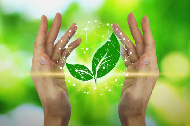 istock Hands are protecting with leaf and environment icons over the Network connection on nature background, Technology ecology concept. Environmental protection concept 1186512204