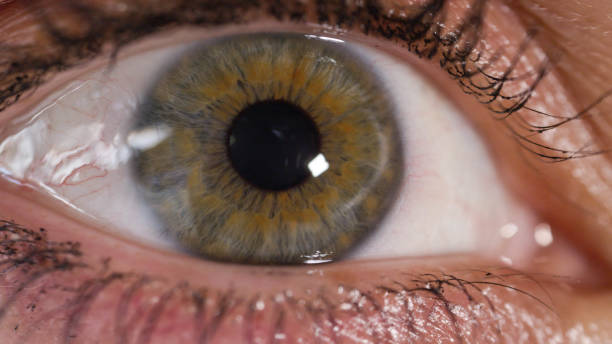 istock CLOSE UP: Female eye pupil contracting as she is looking around room 1186512215