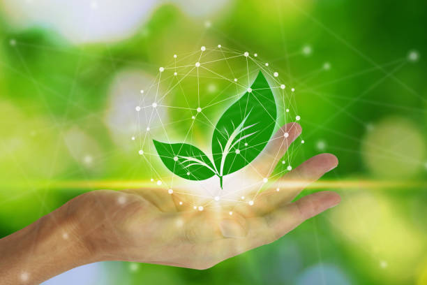 istock Hand holding with leaf and environment icons over the Network connection on nature background, Technology ecology concept. Environmental protection concept 1186512229