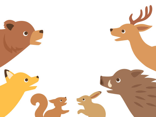 Illustration Set Of Forest Animals Looking Up Surprised Stock Illustration  - Download Image Now - iStock