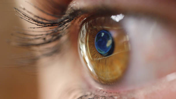 CLOSE UP MACRO: Pretty brown eye looking at map of Madrid on the computer screen CLOSE UP MACRO: Pretty brown female eye looking at map of Madrid on the computer screen. Woman with brown eyes and long lashes making travel plans. Computer screen reflection of Madrid in woman's eye. eye reflection stock pictures, royalty-free photos & images