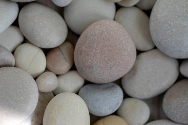 istock Group of white, grey and light brown stones background, pebbles beach 1186513426