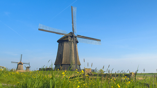 CLOSE UP: Stunning traditional wooden windmills in charming picturesque lowland countryside under blue cloudless sky. Beautiful big mill on meadow grass field next to water canal on sunny summer day