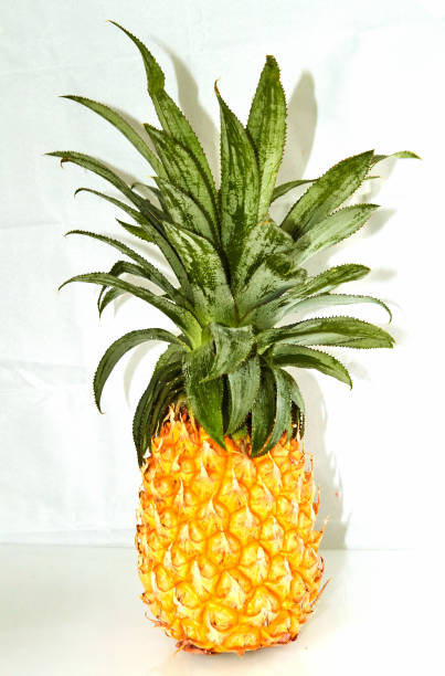 istock Fresh pineapple with green leaves 1186516027