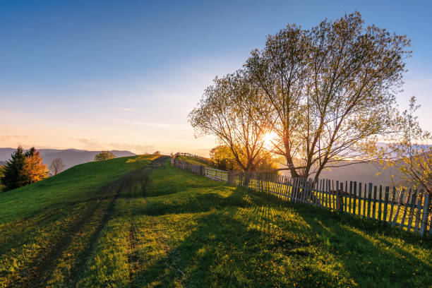 istock carpathian countryside at sunset in springtime 1186516387