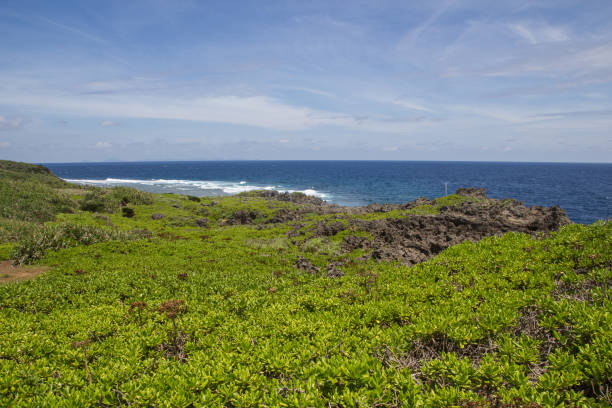 istock Seascape grass and blue sky in sunshine day 1186517502
