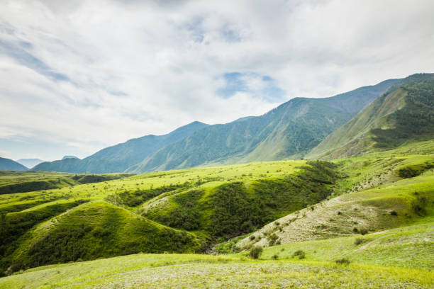 istock Green hills landscape with mountains on background 1186520305