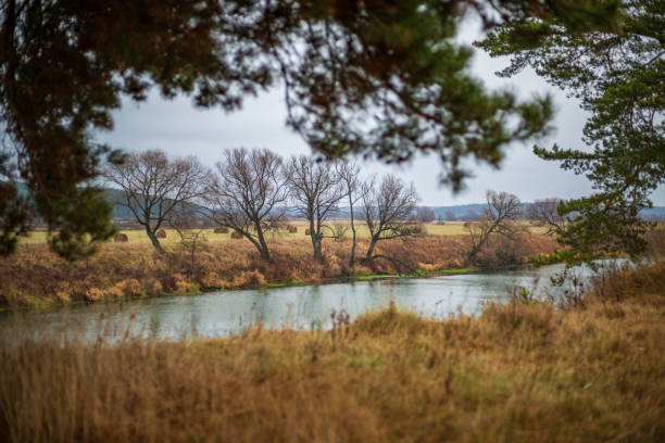 istock Autumn. November. Nature. Russia 1186521224