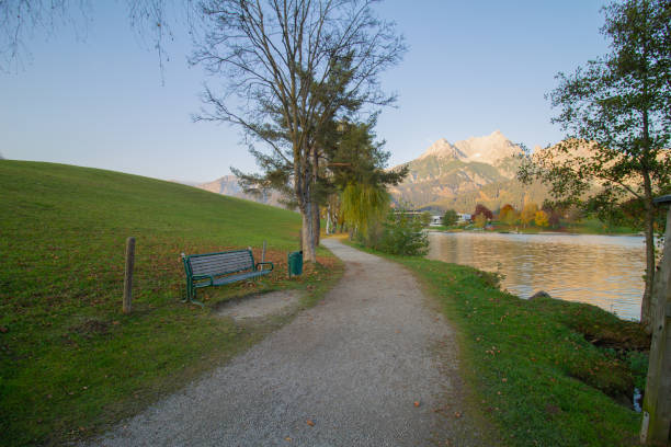 istock Autumn at Ritzensee yellow leaves  falling on a walking path blue sky 1186527576