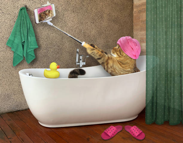 Cat takes bath with phone
