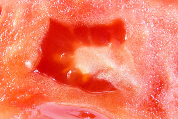 istock Background of cherry tomatoes. Macro shot photo. 1186533049
