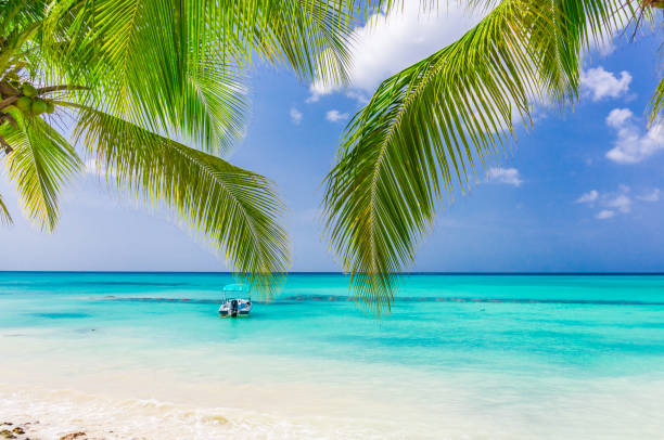 istock Boat Caribbean sea beach 1186533253