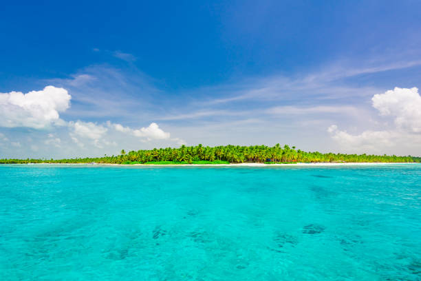 istock Caribbean sea Dominican Republic turquoise 1186533341