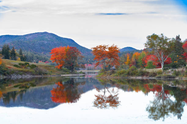 istock Little Long Pond 2 - Acadia park 1186533440