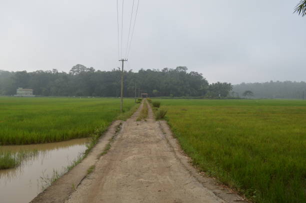 istock Wayanad landscape scenic view, Kerala, India 1186533484