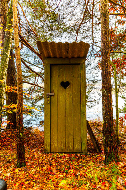 An old toilet house in autumn forest
