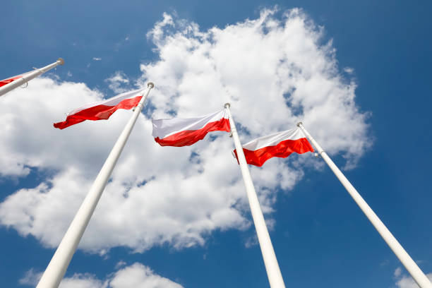 istock There are flags of Poland 1186541043