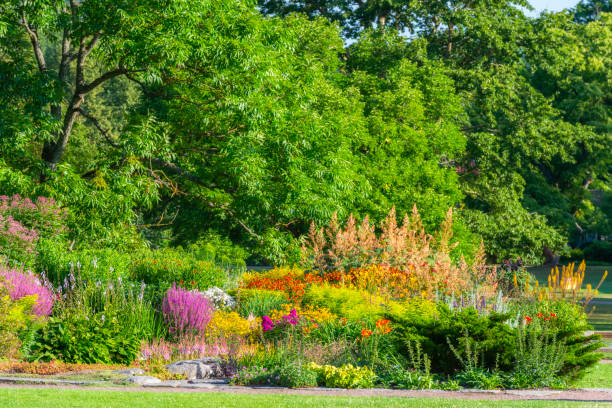 Gothenburg botanical garden with beautiful flowerbeds.
