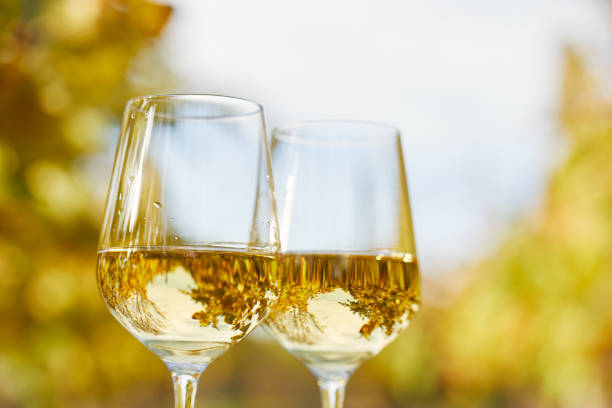 Two glasses full of white wine in autumn day