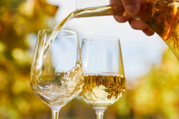 Pouring white wine into glasses in autumn day Pouring white wine into glasses in autumn day, soft focus white wine photos stock pictures, royalty-free photos & images