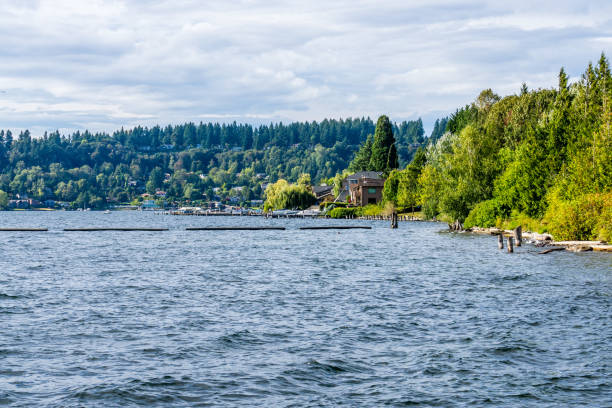istock Renton Park Lake Shoreline 5 1186546550