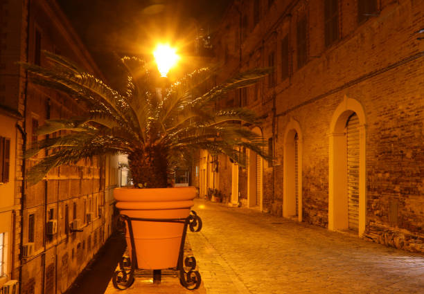 narrow street on Loreto Town in Italy by night and a pot with palm