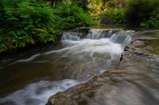 kerosene creek nature hot water pool with waterfall - kerosene imagens e fotografias de stock