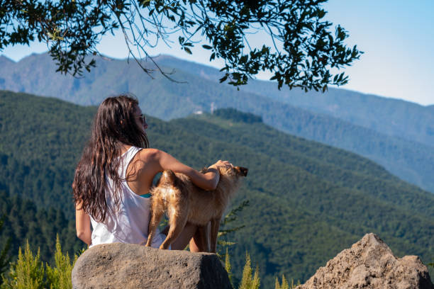 молодая девушка смотрит на пейзаж со своей собакой - panoramic child scenics forest стоковые фото и изображения