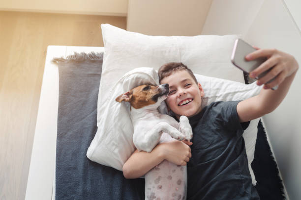 A young boy with a dog in a cozy interior. stock photo