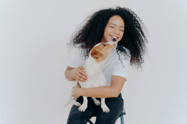 изолированный снимок улыбающейся афроамериканки с фигурной прической, получает поцелуй от любимой собаки, сидит за стулом у белой стены, н� - pets happiness white black стоковые фото и изображения