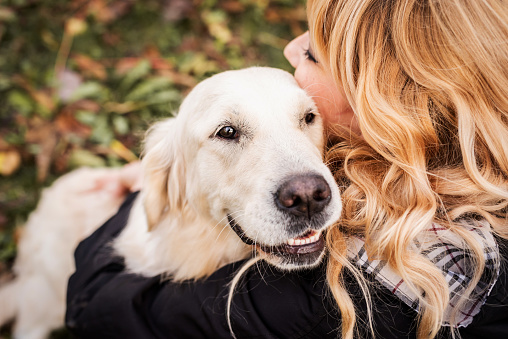 Pet care concept. Happy blond woman hugging her retriever dog in the park