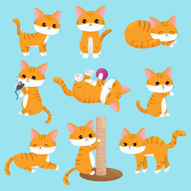 ilustraciones, imágenes clip art, dibujos animados e iconos de stock de gatos kawaii vectoriales ambientados en diferentes situaciones. - feline
