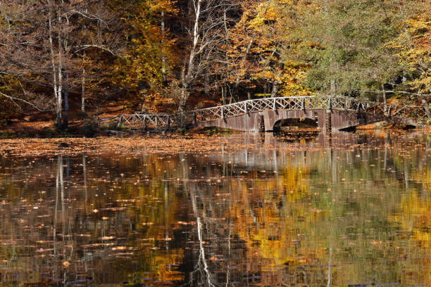 istock lake and autumn landscape 1186569720