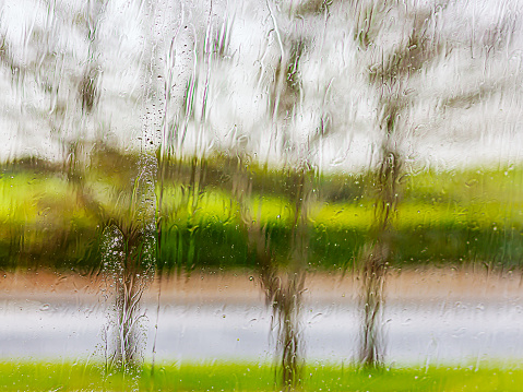 Rain on a window distorting the view of trees and a road outside of the house.