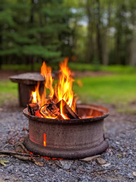 пожарная яма в наружной обстановке в летний вечер. - fire pit fire camping campfire стоковые фото и изображения